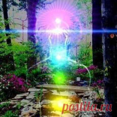 Мир чакр человека. Ответы на вопросы (23.12.2013) - THEF.info - Absolutera.ru