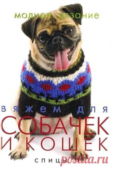 Вязаная одежда для собачек.