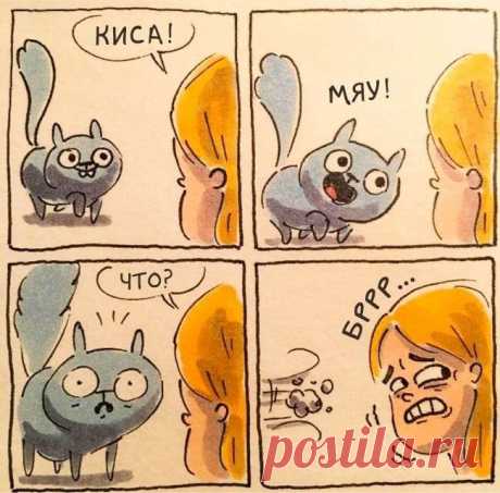 Смешные и правдивые комиксы о жизни с котом (15 картинок) . Тут забавно !!!