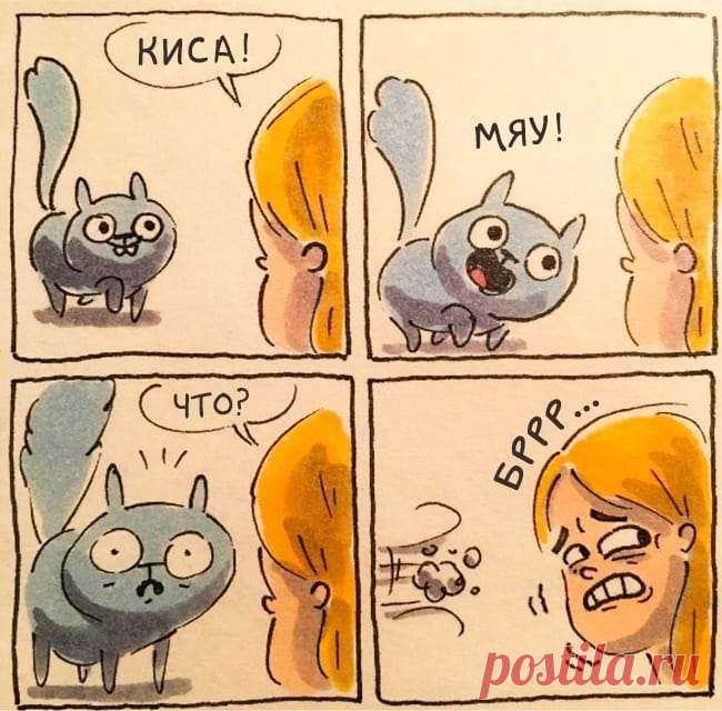 Смешные и правдивые комиксы о жизни с котом (15 картинок) . Тут забавно !!!