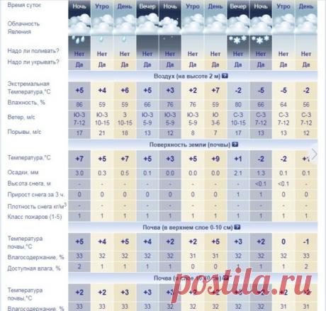 Как узнать температуру почвы в своем регионе
