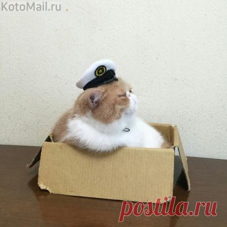 Рубка капитана