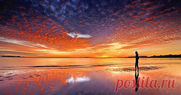 Главное в человеке — энергетическая сущность Человек – это не только его физическое тело. Главное – это энергетическая сущность, Душа. Наша энергетическая сущность, Душа, связана с энерго-информационным полем Вселенной. К сожалению, из-за того что мы большую …