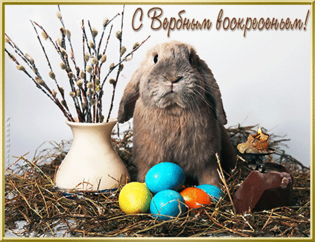 С Вербным Воскресением!