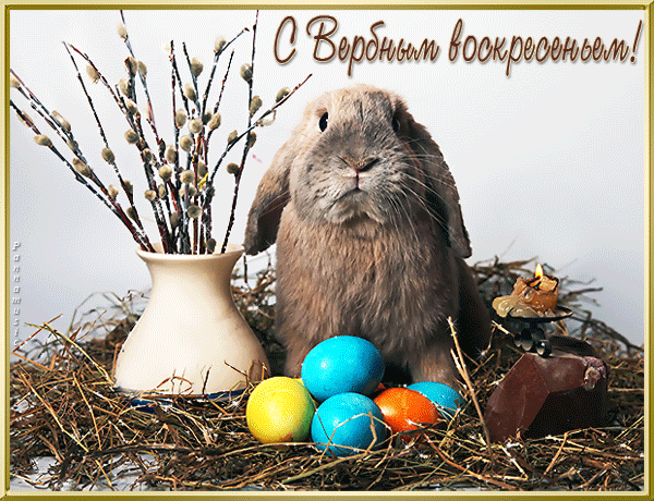 С Вербным Воскресением!