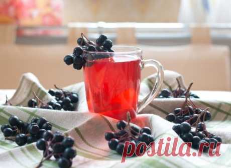 Черноплодная рябина на зиму: лучшие рецепты приготовления