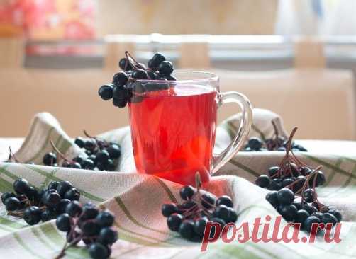 Черноплодная рябина на зиму: лучшие рецепты приготовления