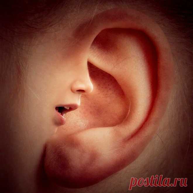 Звон в ушах причины
Если вы также почувствовали это неприятное жужжание или звон в ушах, знайте, что это гораздо чаще встречается среди населения, чем вы думаете. Этот дискомфорт представляет собой перцептивное явление, называемое тиннитусом, которое может воспринимать только человек, которому он принадлежит, и который можно описать по-разному; колокольчики, шум моря, гудки, колокольчики Этот недуг очень раздражает и мешает больному […]
Читай пост далее на сайте. Жми ⏫ссылку выше
