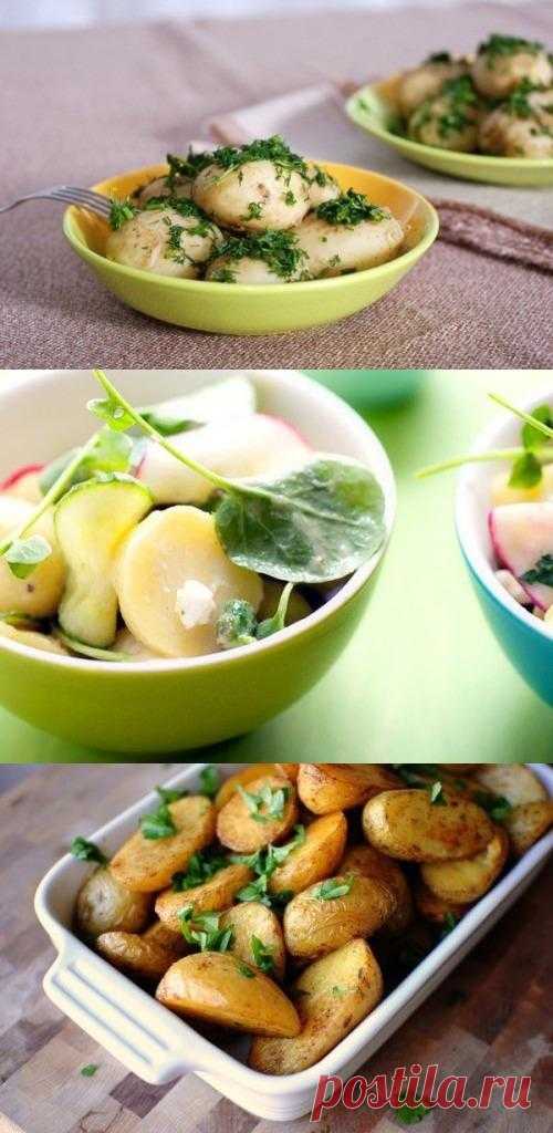 Блюда из молодого картофеля