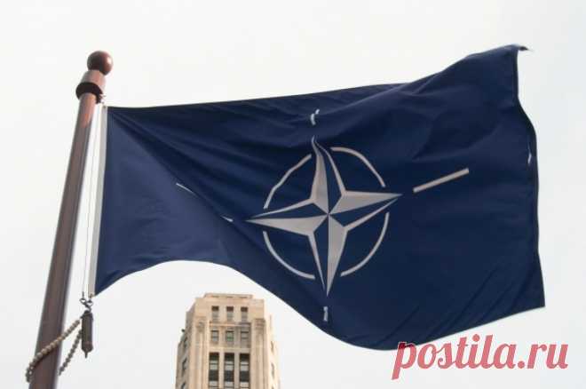 Адмирал НАТО Бауэр оценил риск конфликта в Арктике из-за дружбы РФ и Китая. По его словам, Альянс должен быть готов к столкновению в регионе.