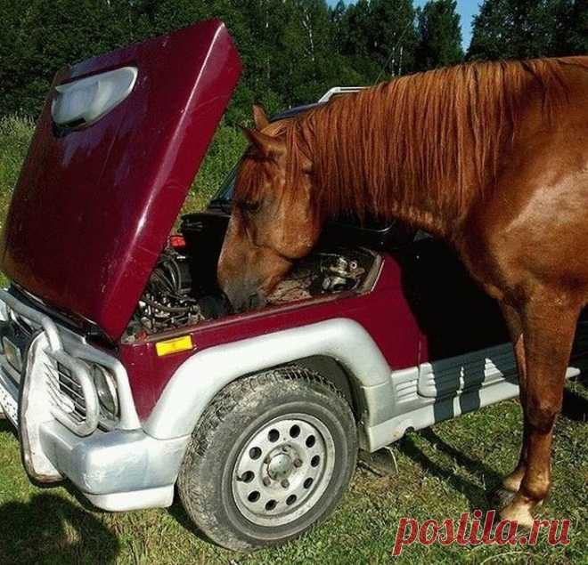 медиум