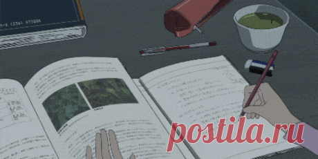 Подготовка к экзаменам: как с лёгкостью запомнить больше - Лайфхакер