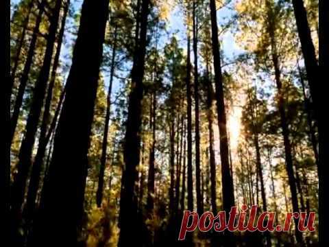 Молитва. Антуан де Сент-Экзюпери.