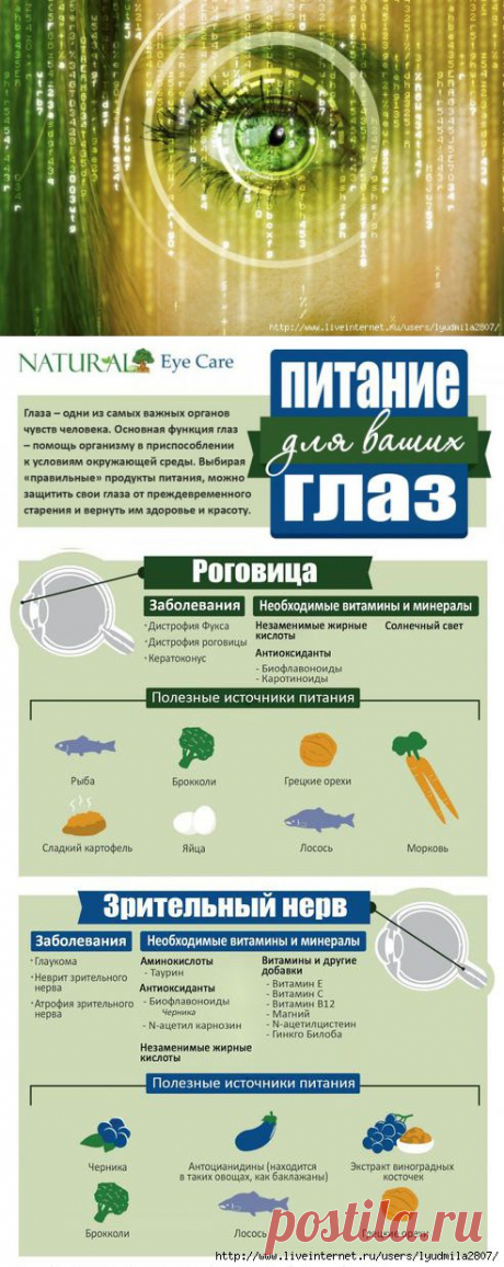 Какие продукты полезны для глаз. Инфографика