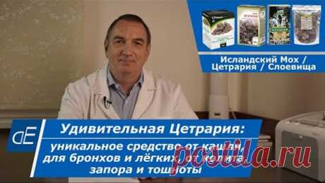 Уникальное средство от кашля, бронхита, астмы, от колита, запора и тошноты: Исландский мох /Цетрария