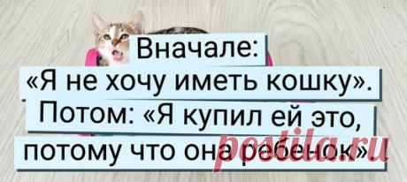 20+ вчерашних суровых ворчунов, тающих под натиском пушистиков и их мягких лапок