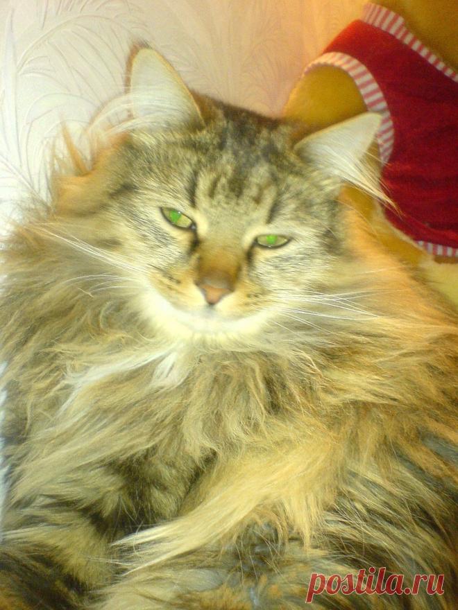 Пора причесаться