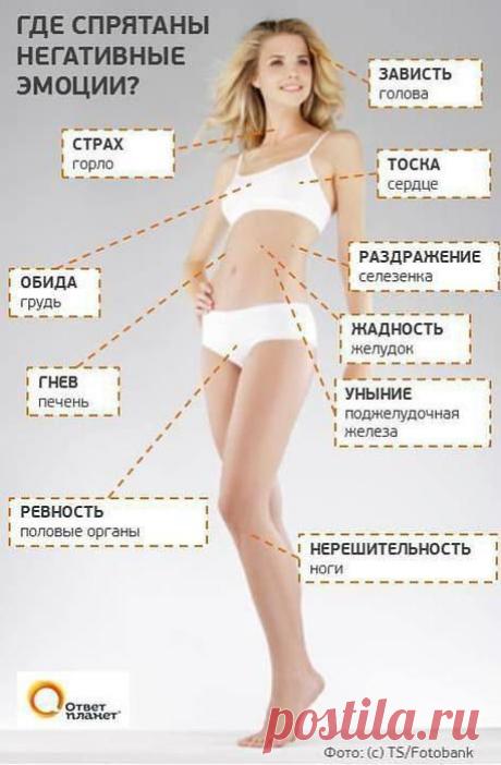 ПСИХСОМАТИКА. | Познавательный сайт ,,1000 мелочей&quot;