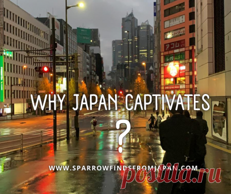 Why Japan Captivates: Culture, Subcultures, and More – Sparrow finds from Japan