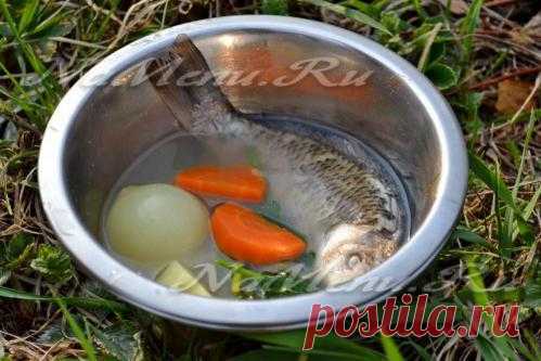 Фото рецепт ухи в казане