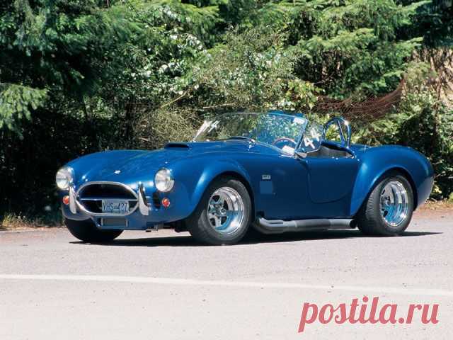 Shelbi Cobra