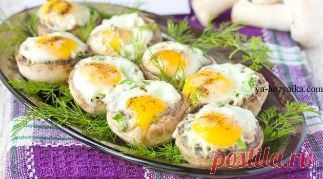 Фаршированные шампиньоны яйцами. Шампиньоны с яйцом в духовке Фаршированные шампиньоны яйцами. Шампиньоны с яйцом в духовке