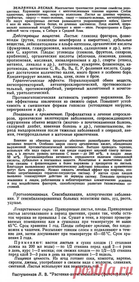 Земляника лесная