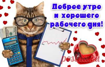 Необычные позитивные картинки доброе утро (117 картинок) - ФУДИ