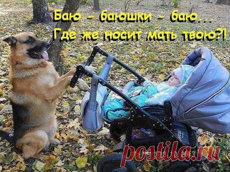 Страницы и общественные деятели