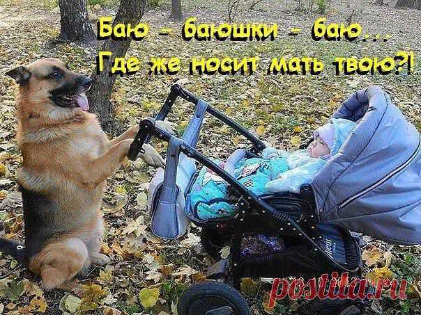 Страницы и общественные деятели