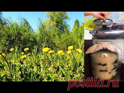 ч. 1. Одуванчик - желтая  🌻 