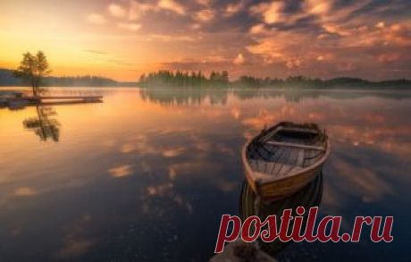 Есть человек (Дикая Собака Динго) / Стихи.ру