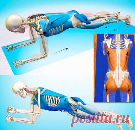 Упражнения, которые необходимы тем, кому за 40 Приведенные в статье УПРАЖНЕНИЯ не перегружают суставы, нацелены на основные группы мышц и ключевые места в теле, которые ослабевают по мере старения. Делайте такую зарядку от одного до трех раз в неделю.