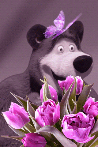 Живые фотографии – Google+