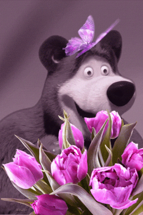 Живые фотографии – Google+