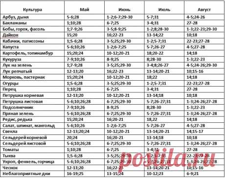 Лунный посевной календарь на 2017 год — 6 соток