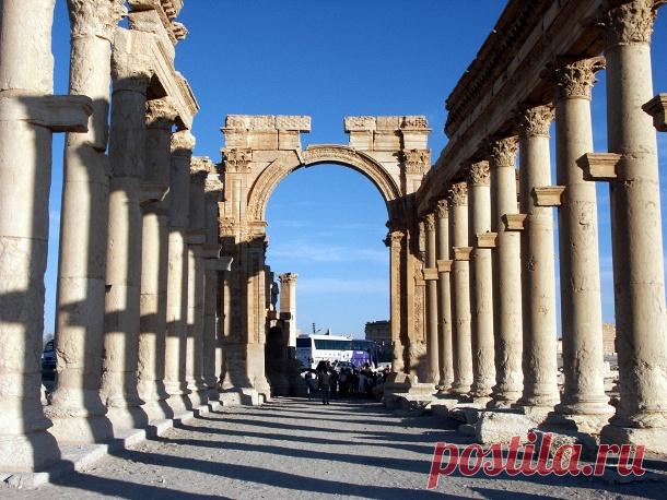 До наших дней сохранилась главная улица города, по обеим сторонам которой расположены десятиметровые колонны, а также венчающая улицу триумфальная арка. Общая длина колоннады достигала 1,1 км, ширина проезжей части - 11 м. Высота Триумфальной арки, построенной из базальта, гранита и мрамора, - 20 метров. Ее восстановили в 1930 г. © flickr.com/Klaus Wagensonner  Подробнее на ТАСС: http://tass.ru/info/1984591 |  ТАСС: Биографии и справки - Пальмира - жемчужина Сирийской пустыни