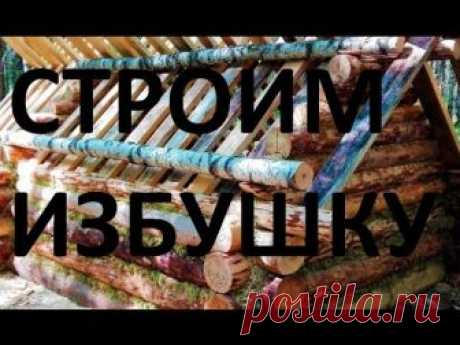Строим избушку/Сруб/Крыша-потолок/Печь/Дверь/Мох/