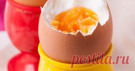 Французская диета для прохудения Французские диетологи разработали диету для женщин и мужчин с очень большим весом. Ее задача — увеличить обмен веществ, сжечь лишний жир и предотвратить набор веса в будущем. А длительность — 10 дней.…