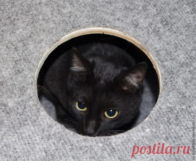 Кошкин дом за пару дней