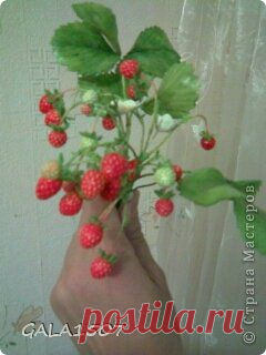 Земляничка. Автор мк GALA1507