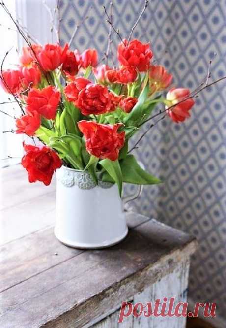 (6) Flowers