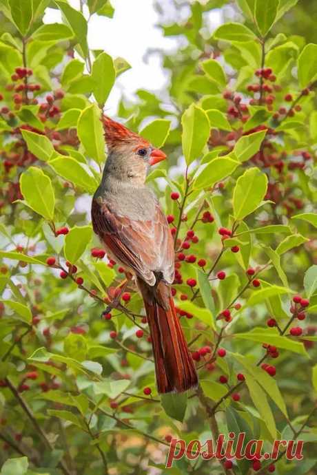 mara mara - Google+