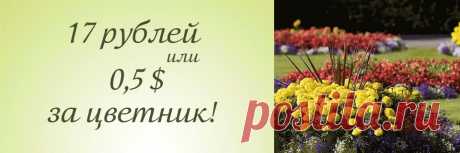 Коллекция авторских цветников