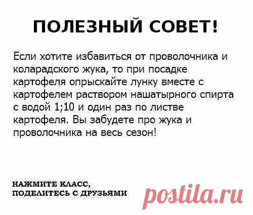 Home garden|Сад, огород, дача