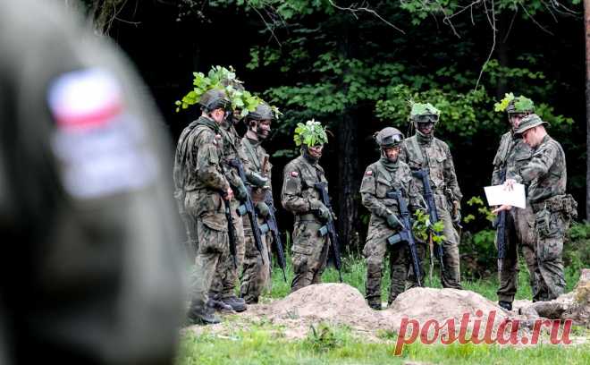 В Варшаве назвали причины отказа от отправки войск на Украину. Польша исключает возможность отправку своих военных на Украину из-за рисков ослабления обороноспособности страны, сообщает Politico со ссылкой на высокопоставленного польского чиновника, пожелавшего остаться анонимным.