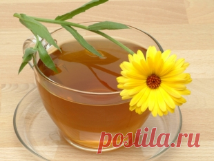 Травы для сердца: три рецепта из календулы, боярышника и мелиссы