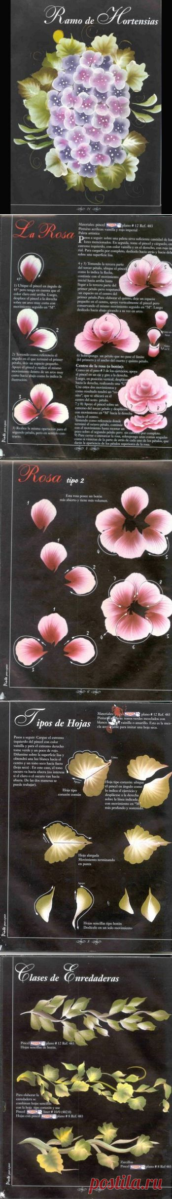 Рисуем цветы. Dibujar flores.