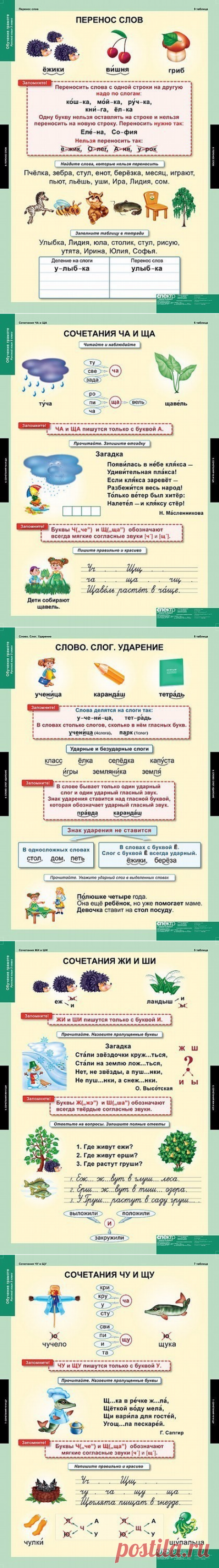 Русский язык в таблицах