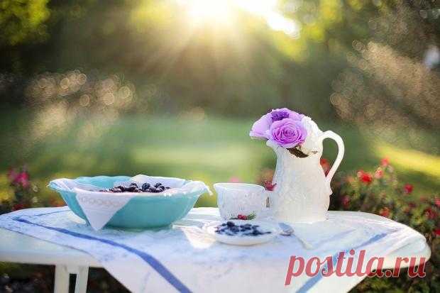 7 продуктов питания помогающих бороться с целлюлитом